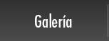 Galería de Cancelería López